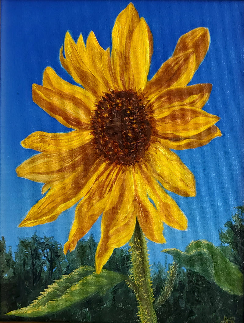 Facing the Sun, an oil painting by Alison Shepard